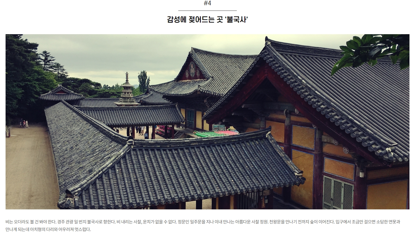 비오는 날 불국사의 고즈넉한 풍경