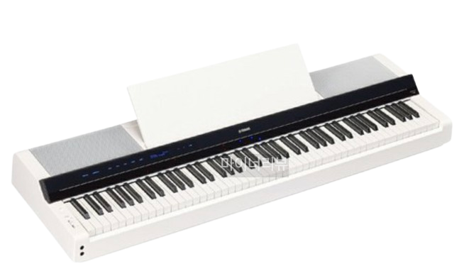 나혼자산다 전현무 채칼 카메라 피아노 LP 스피커 목 온열 마스크 반팔 티셔츠 반바지 정보