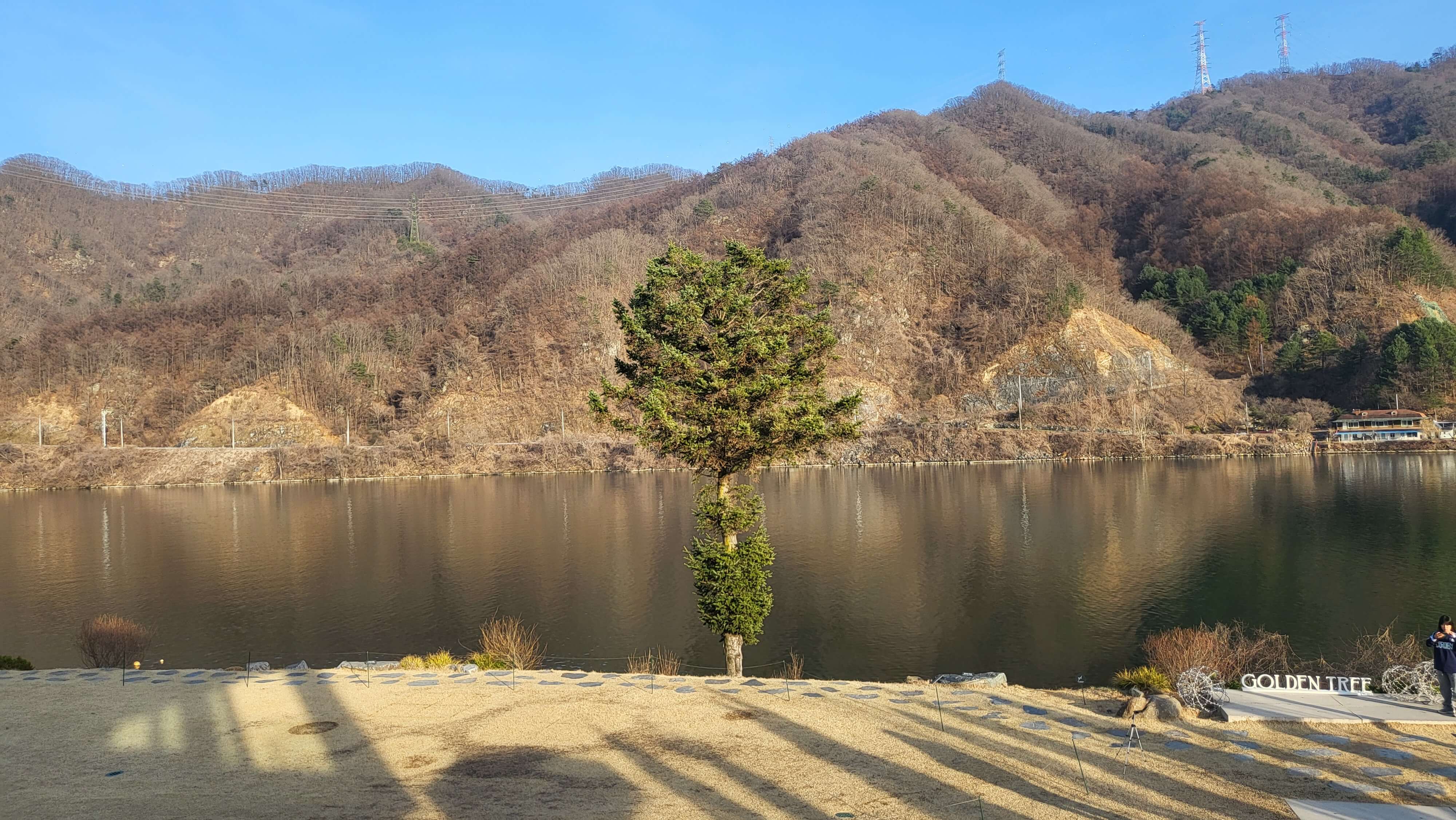 가평 리버뷰 카페 골든트리 