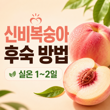 신비복숭아 후숙