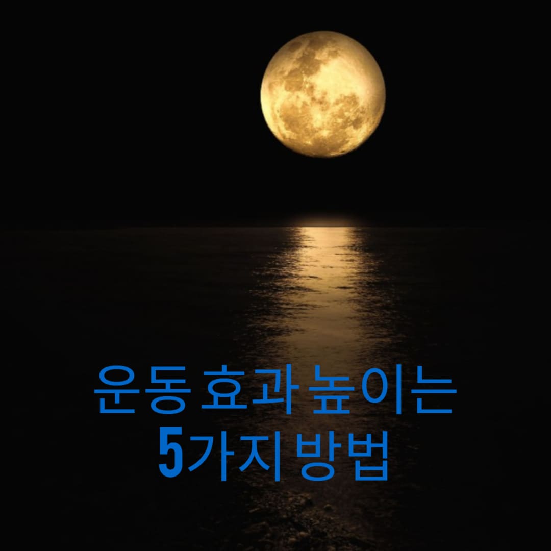 운동-효과-높이는-5가지-방법-썸네일
