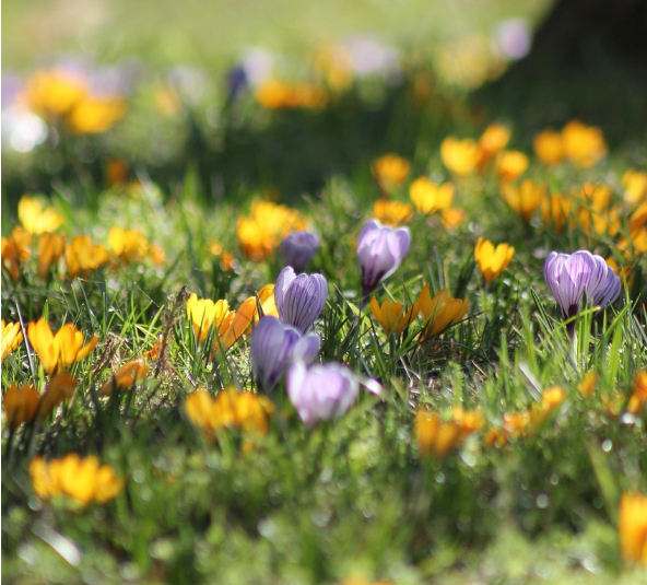 5분간 자연 바라보기: 디지털 피로를 줄이고 감각 깨우기