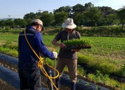 충북 괴산 김치 주문 방법