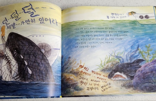 상어가 나타났다