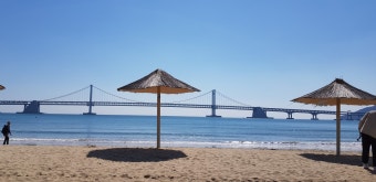 2025 부산온나청년패스 신청방법 및 할인혜택 총정리