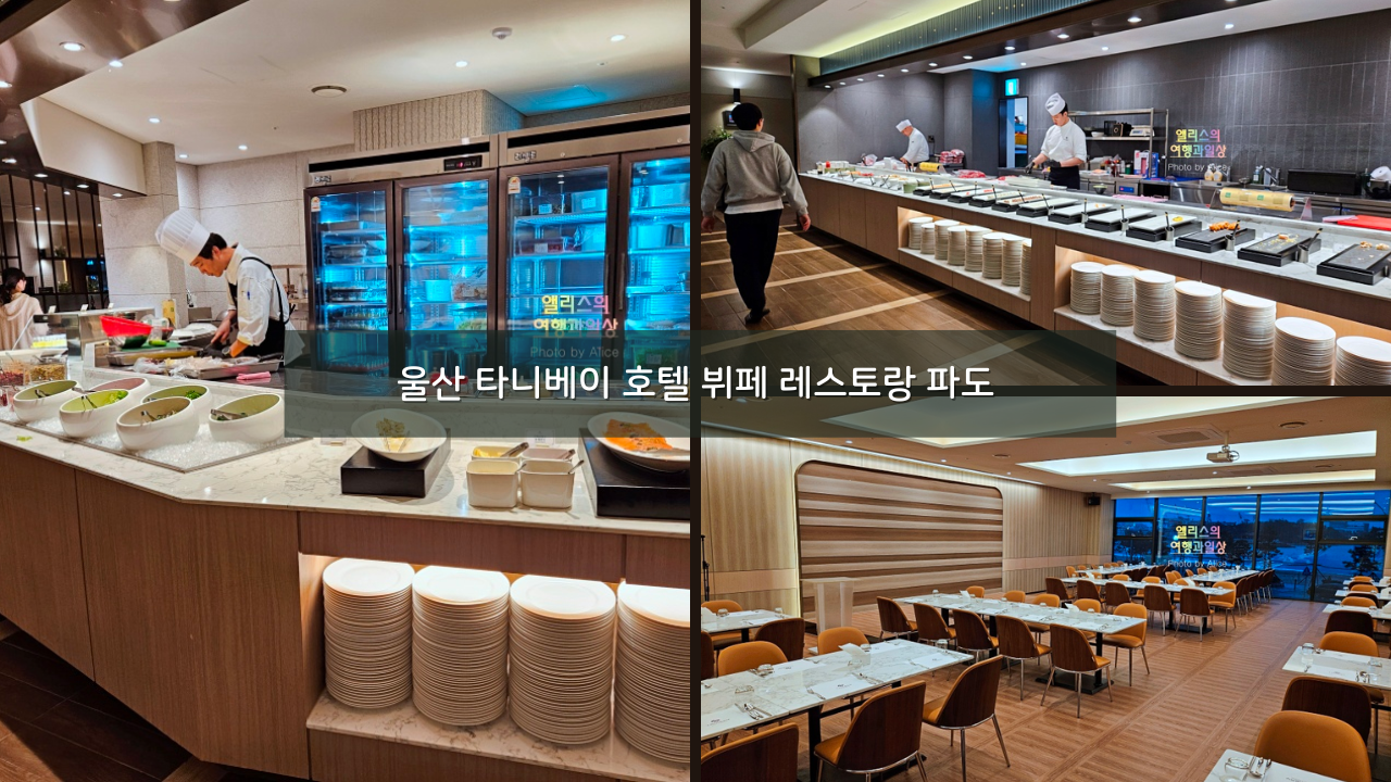 울산 타니베이 호텔 뷔페 레스토랑 파도 메뉴 후기 울산 모임장소 추천