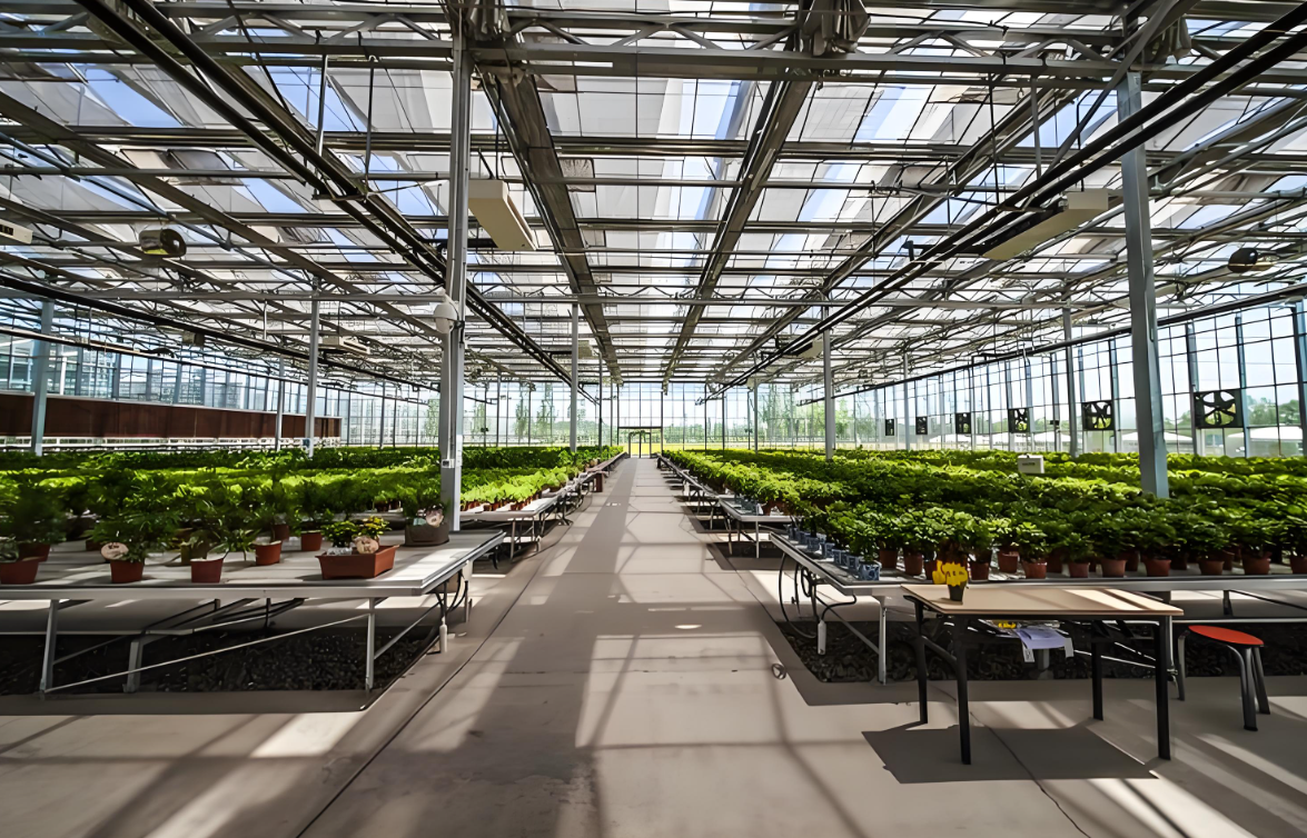 실내스마트팜농장사진