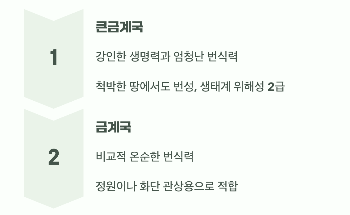 강인한 생명력의 차이