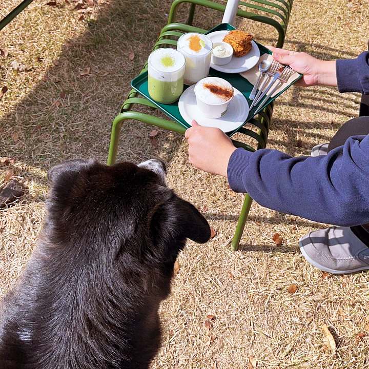 생방송오늘저녁 착한 송이버섯 라떼 사과에이드 고추 스콘 & 크림치즈 귀촌 남매 120년 고택 한옥 카페 경북 영양 맛집 추천