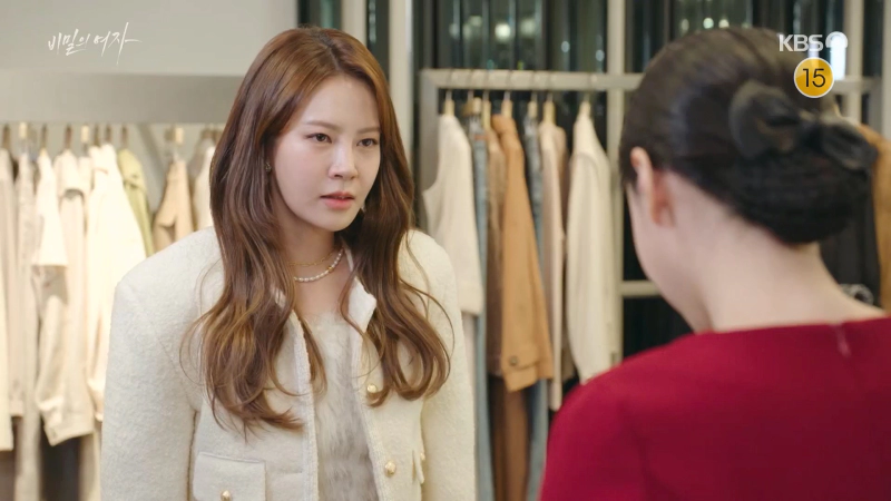 비밀의 여자 줄거리