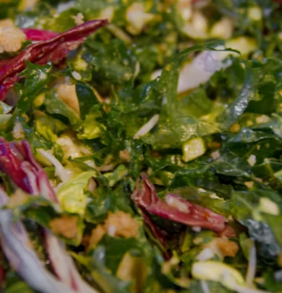 치커리 효능 부작용 뿌리 가루 고르는법 칼로리