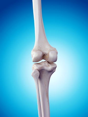 비타민D 하루 권장량