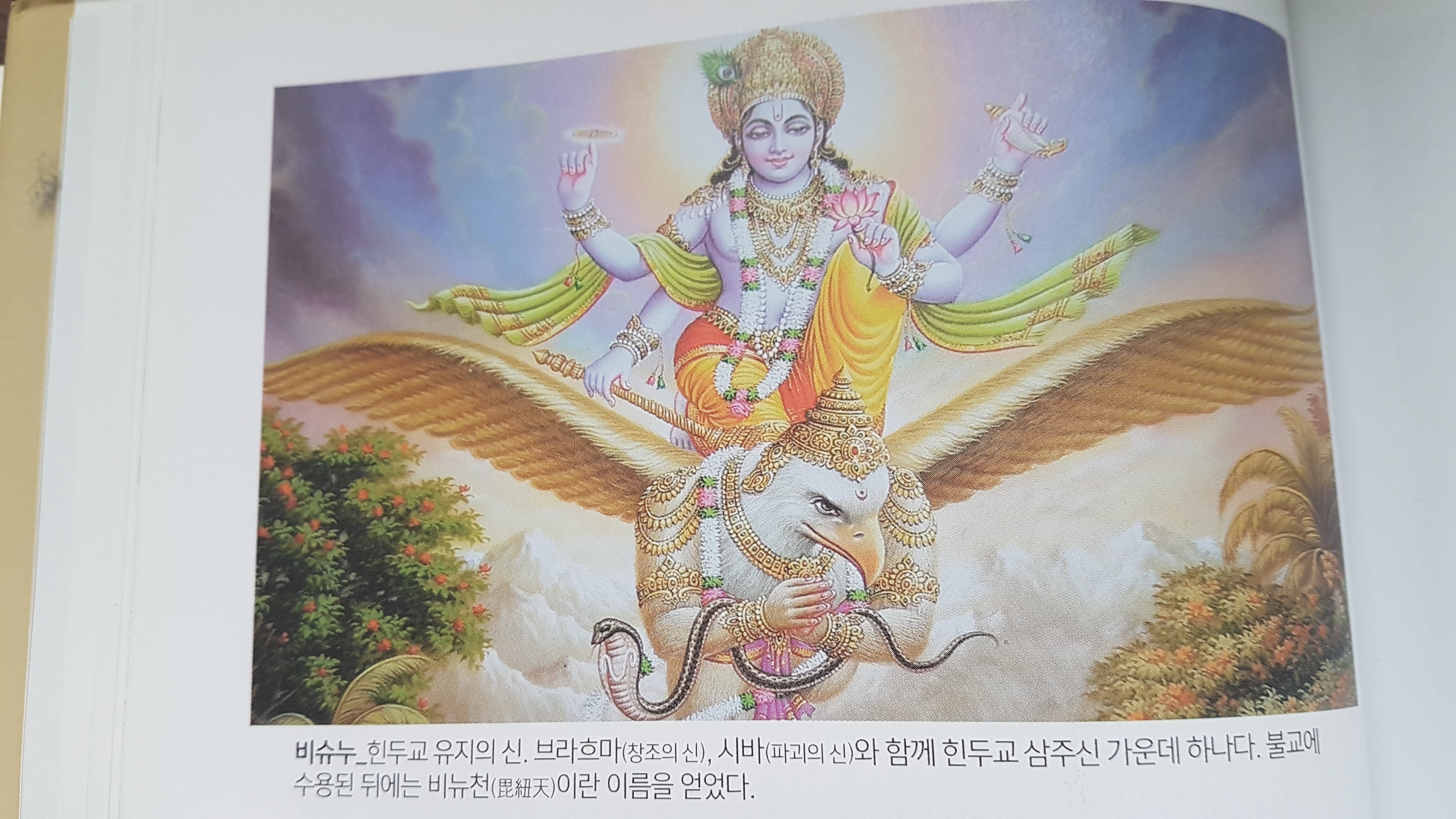 힌두교의 비슈누