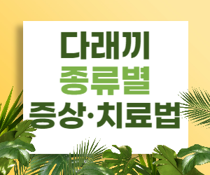 다래끼, 종류별 증상과 치료법 알아보기