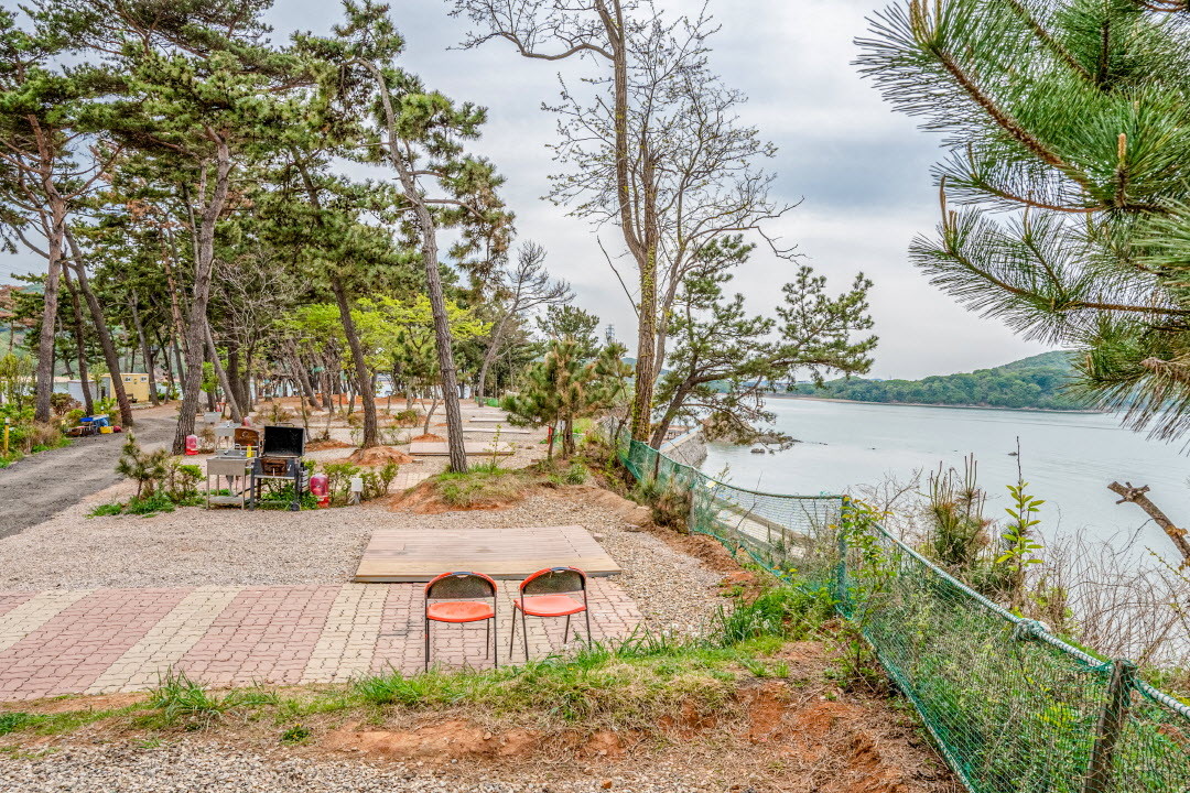 [경기] 안산 : 홀리데이캠핑파크 대부도점 (애견동반가능)