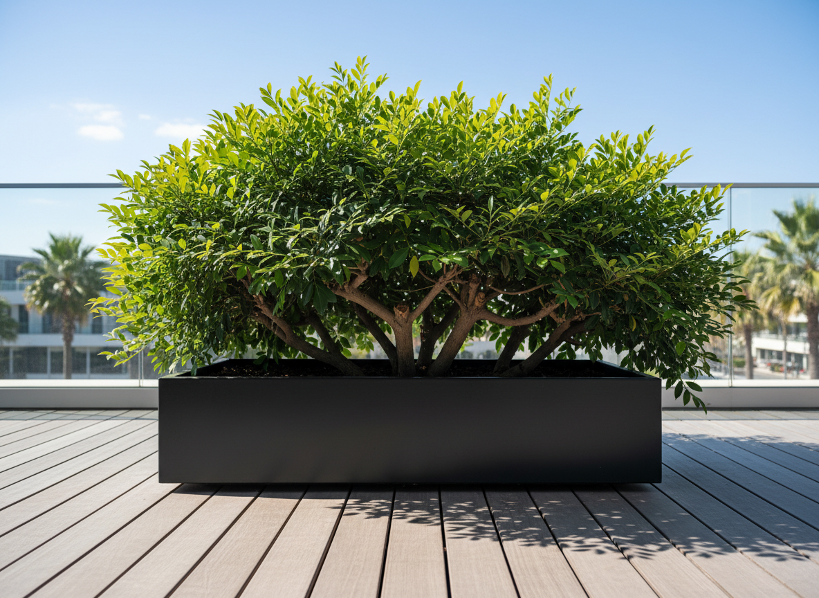 순소대절제술&amp;#44; 시술 전 이것 확인 안 하면 후회!