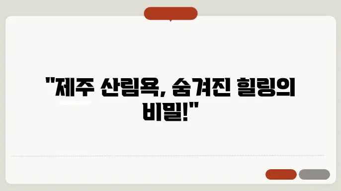 제주 산림욕을 즐기고 있는 사람들