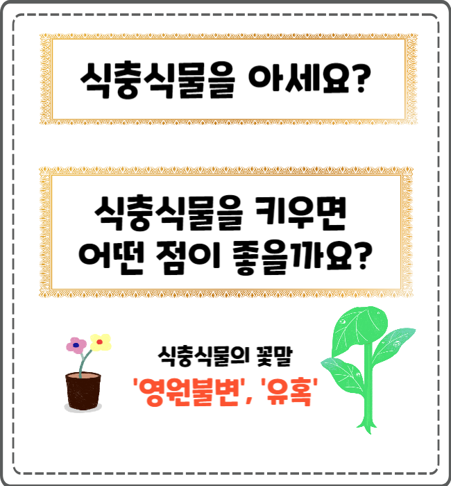 식충식물 식충식물을 키우면 좋은점