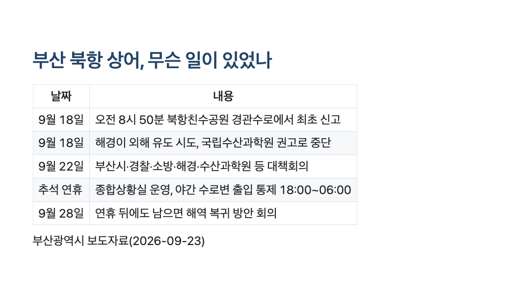 부산 북항 상어 주요 경과 정리 카드