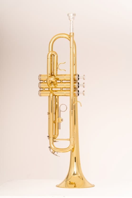 블루스 음악의 기원과 영향력