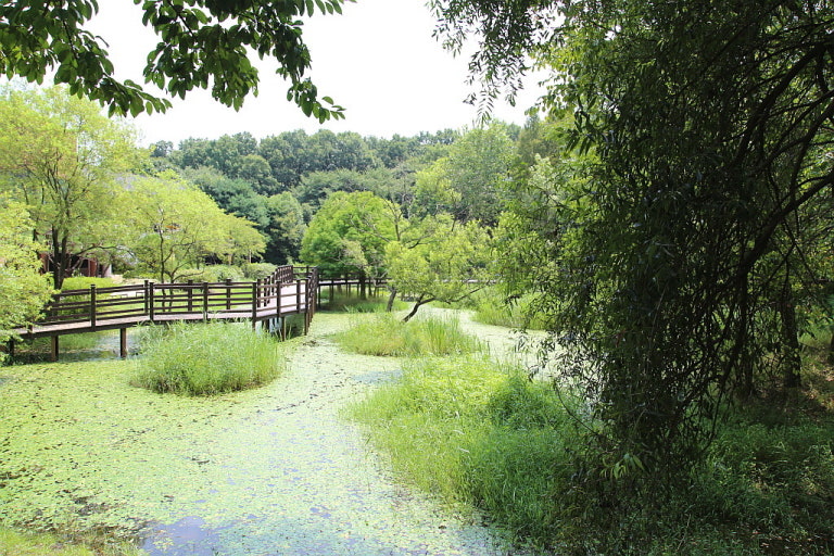 물향기 수목원 산책로 사진