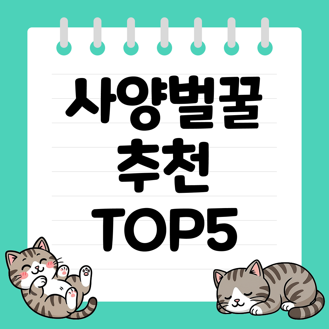 합리적인 가격에 달콤함을 즐기는 쿠팡 사양벌꿀 추천 순위 TOP5