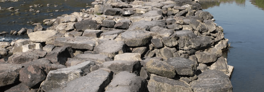 진천 이팝나무길 농다리