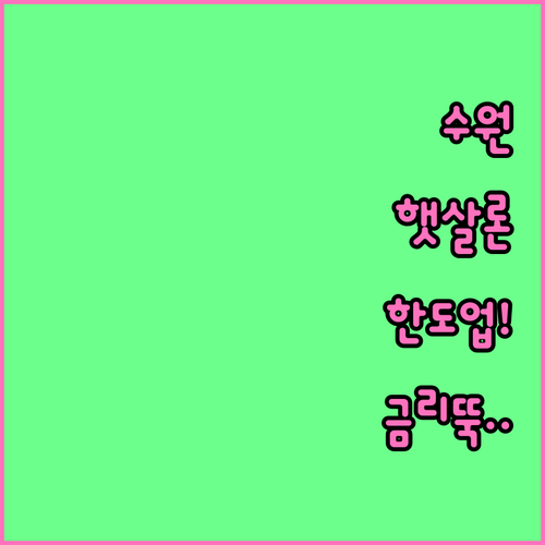 수원시 햇살론 대출 한도 상향 및 성..