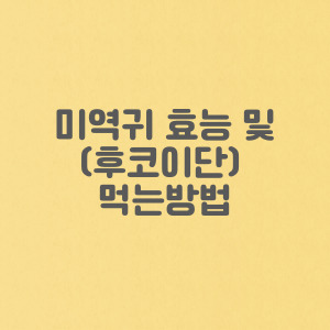 미역귀 효능(후코이단) 및 미역귀 먹는 방법 섭취량(말린 미역귀 먹는법)
