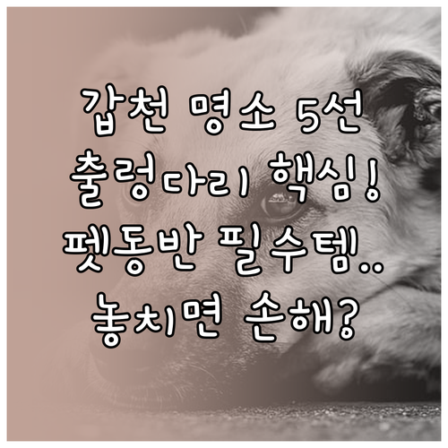 갑천호수공원 출렁다리 등 명소 5선 ..