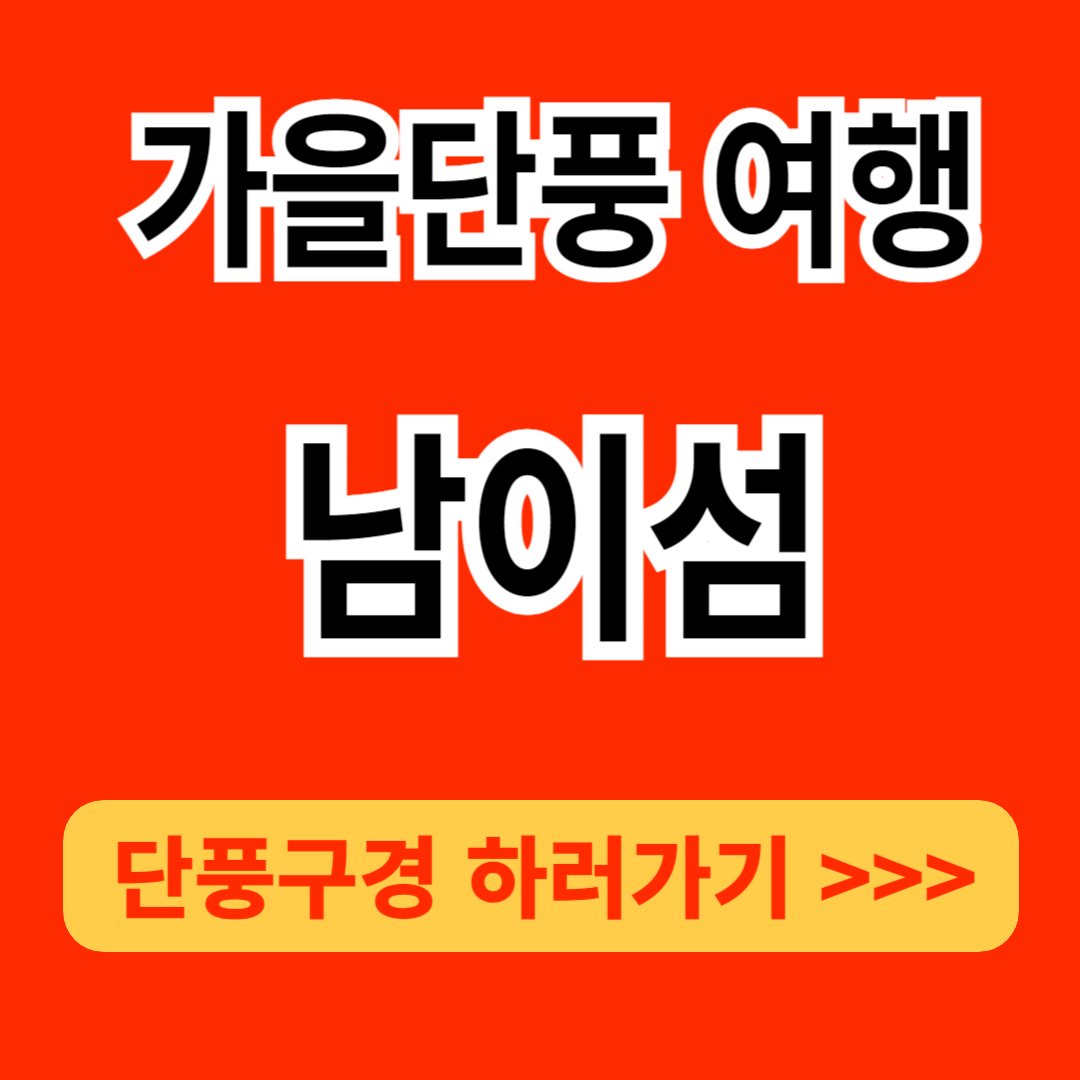 가을 단풍여행 : 남이섬