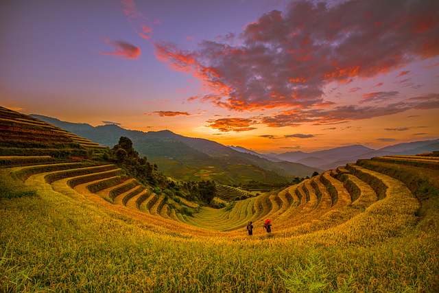 농림어업총조사 개인정보 관련 사진