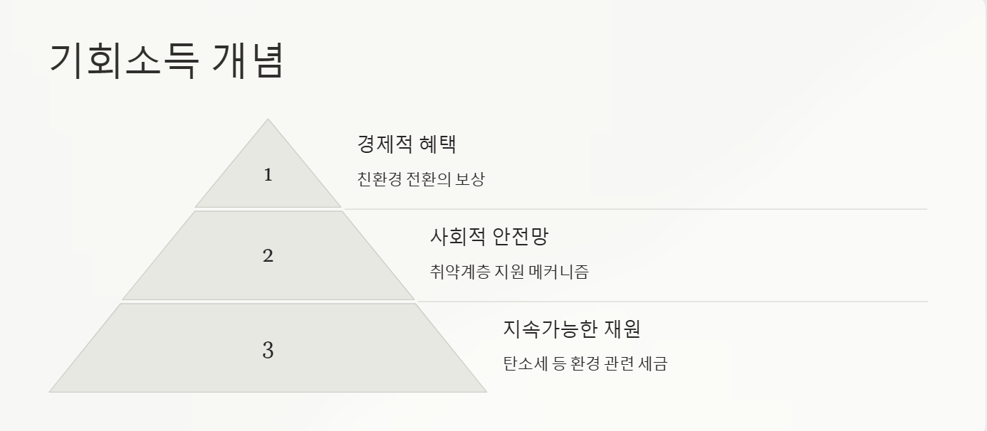기회소득 개념