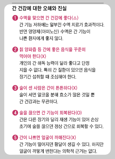 알부민 효능