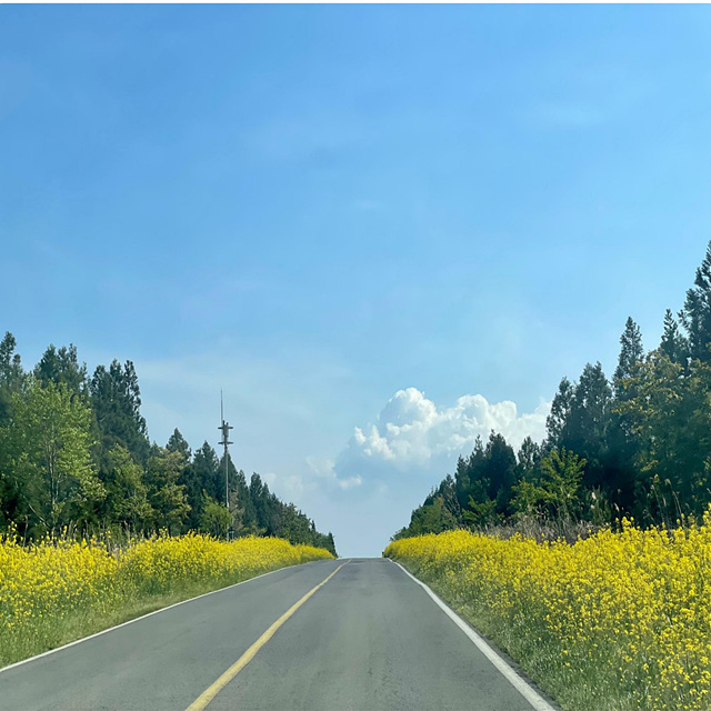 핑계고 아라찐빵 예약