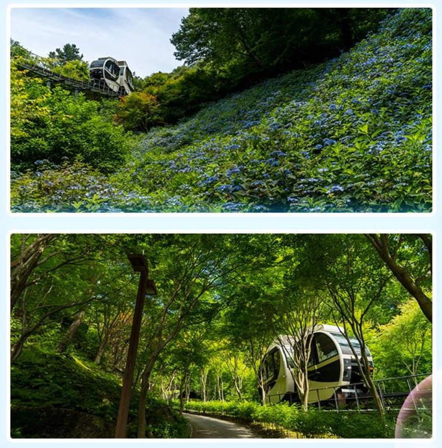 모노레일 열차 이미지