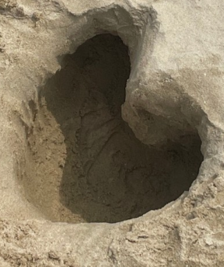 땅속으로 들어가는 꿈해몽