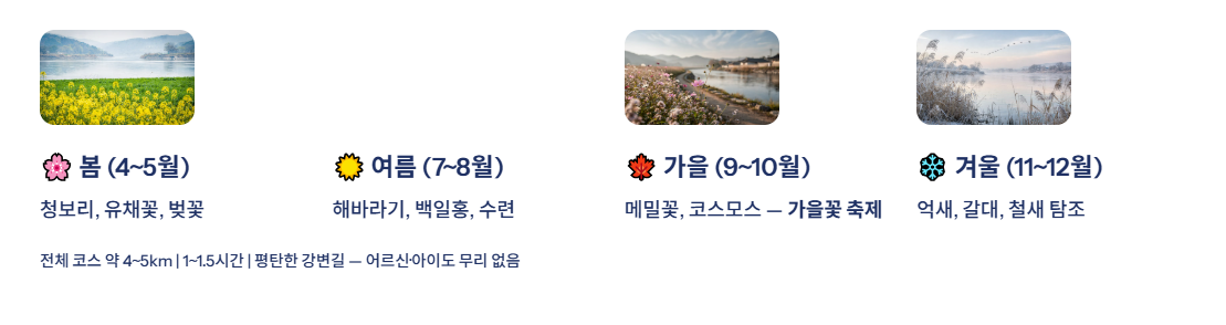 광주광역시 근교 산책·달리기·트레킹 명소 완벽 가이드 ❘ 주말 액티비티 추천