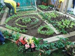 도시농업관리사 자격증 취득