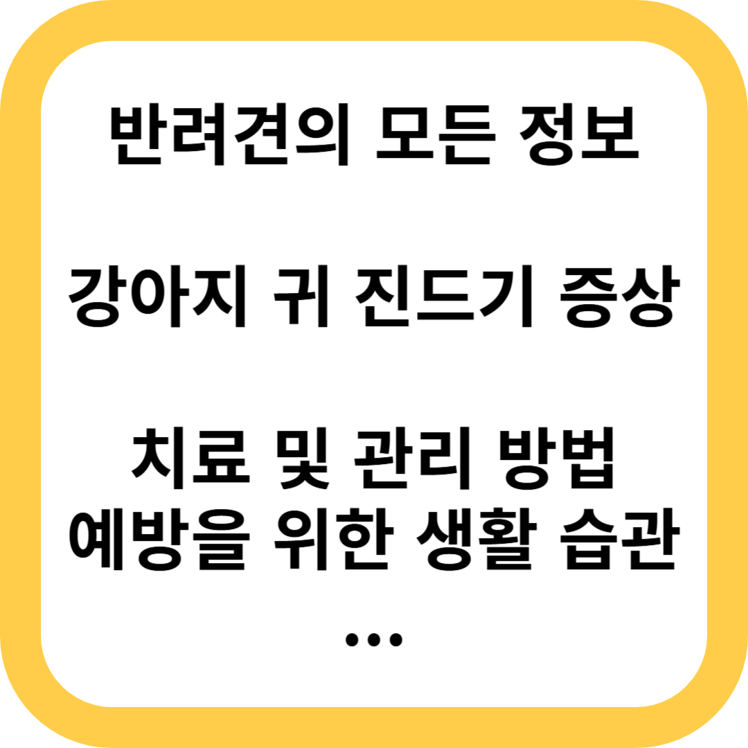 강아지 귀 진드기 증상과 치료법