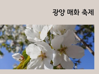 매화
