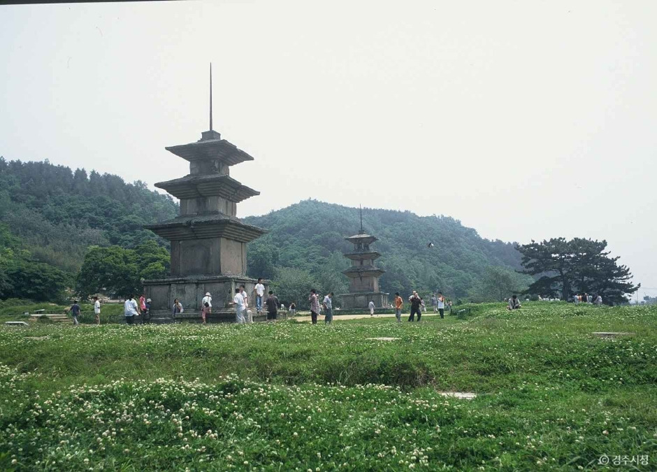 경주 가볼만한 곳 베스트 10 (2025 최신판)