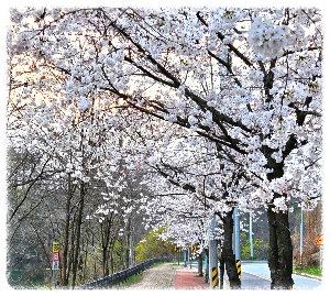 화곡저수지