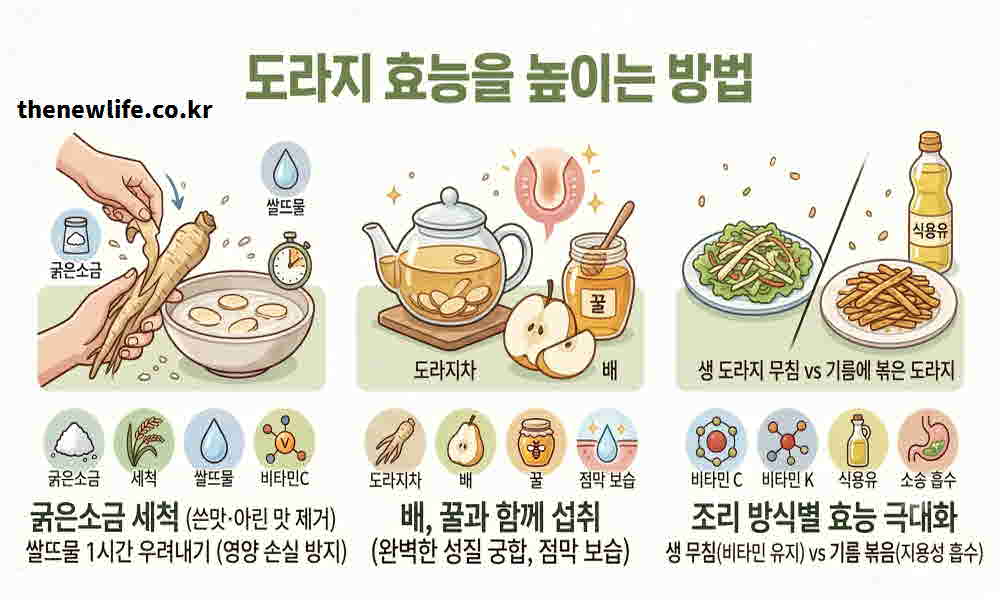 도라지 효능 높이는 먹는 법
