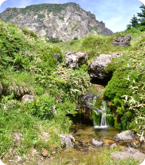 백록샘 확대사진