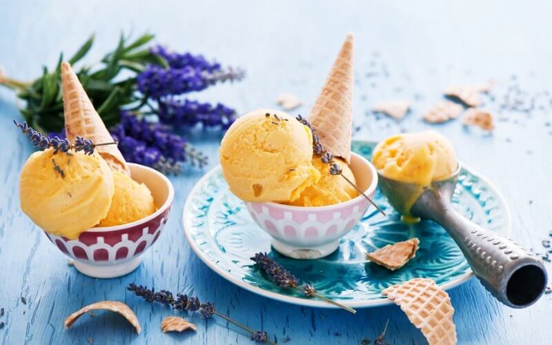 접시에-놓여진-아이스크림