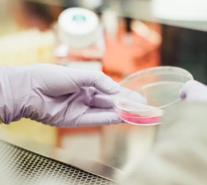 남자 헤르페스 2형