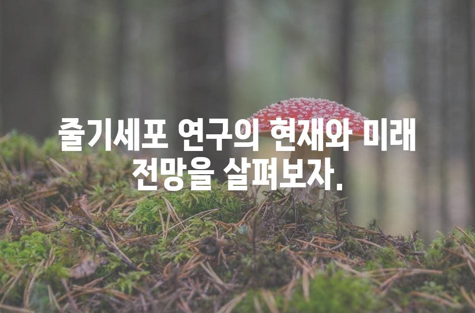 샘플 (42)