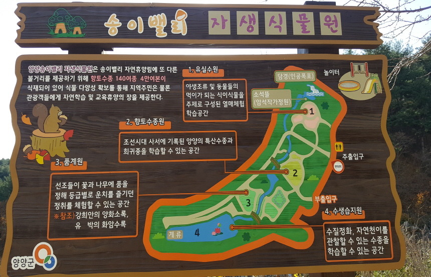 양양 송이밸리 자연휴양림 주변 맛집 카페 마트 전통시장 오일장 특산물 시세 강아지 동반 정보