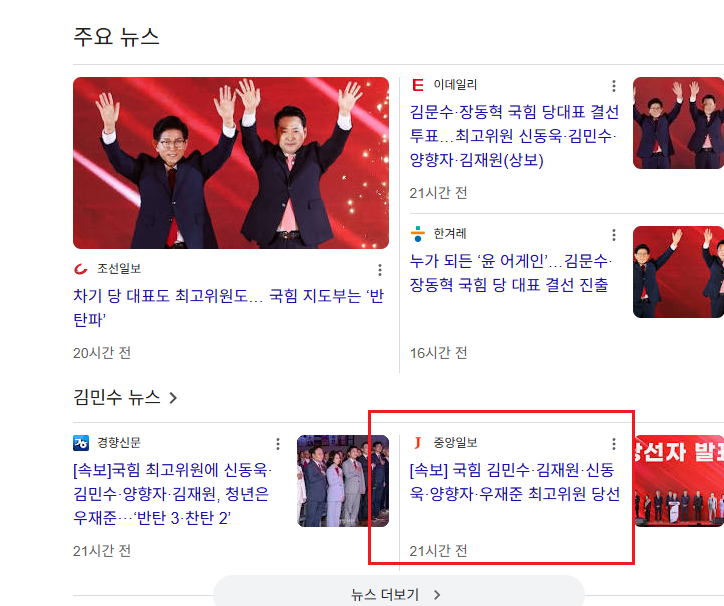 국민의힘 최고위원 후보명단